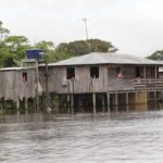 Amazonia / prof. dr hab. Marek Jóźwiak i dr hab. Małgorzata Anna Jóźwiak