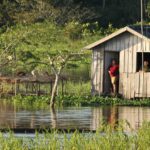 Amazonia / prof. dr hab. Marek Jóźwiak i dr hab. Małgorzata Anna Jóźwiak