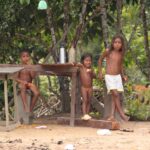 Amazonia / prof. dr hab. Marek Jóźwiak i dr hab. Małgorzata Anna Jóźwiak