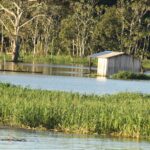 Amazonia / prof. dr hab. Marek Jóźwiak i dr hab. Małgorzata Anna Jóźwiak