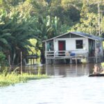 Amazonia / prof. dr hab. Marek Jóźwiak i dr hab. Małgorzata Anna Jóźwiak