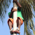 Amazonia / prof. dr hab. Marek Jóźwiak i dr hab. Małgorzata Anna Jóźwiak