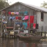 Amazonia / prof. dr hab. Marek Jóźwiak i dr hab. Małgorzata Anna Jóźwiak