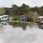 Amazonia / prof. dr hab. Marek Jóźwiak i dr hab. Małgorzata Anna Jóźwiak