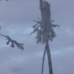 Zwierzęta Amazonii / prof. dr hab. Marek Jóźwiak i dr hab. Małogorzata Anna Jóźwiak