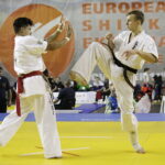 11.11.2017 Kielce. Mistrzostwa Europy Karate EKO Kyokushin Shinkyokushin Kadetów i Młodzieżowców / Jarosław Kubalski / Radio Kielce