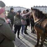 11.11.2017 Kielce. Obchody Święta Niepodległości. Pokaz grup rekonstrukcyjnych / Jarosław Kubalski / Radio Kielce
