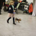 25.11.2017 Kielce. Międzynarodowa Wystawa Psów Rasowych / Jarosław Kubalski / Radio Kielce