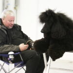 25.11.2017 Kielce. Międzynarodowa Wystawa Psów Rasowych / Jarosław Kubalski / Radio Kielce