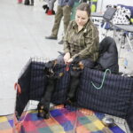 25.11.2017 Kielce. Międzynarodowa Wystawa Psów Rasowych / Jarosław Kubalski / Radio Kielce