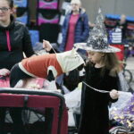 25.11.2017 Kielce. Międzynarodowa Wystawa Psów Rasowych / Jarosław Kubalski / Radio Kielce