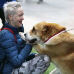 25.11.2017 Kielce. Międzynarodowa Wystawa Psów Rasowych / Jarosław Kubalski / Radio Kielce