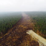 27.11.2017 Skarżysko - Kamienna. Budowa drogi S7 do granicy z województwem mazowieckim / Jarosław Kubalski / Radio Kielce