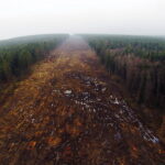 27.11.2017 Skarżysko - Kamienna. Budowa drogi S7 do granicy z województwem mazowieckim / Jarosław Kubalski / Radio Kielce