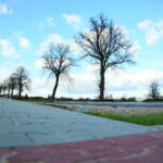 Rozbudowa DW 761 na odcinku: Piekoszów węzeł Jaworznia (S7) / Marzena Mąkosa / Radio Kielce