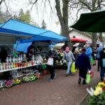 Cmentarz Stary / Marzena Mąkosa / Radio Kielce