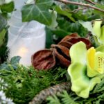 Cmentarz Stary / Marzena Mąkosa / Radio Kielce