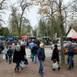 Cmentarz Stary / Marzena Mąkosa / Radio Kielce