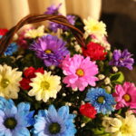 Międzynarodowy Festiwal Piosenkarzy Dziecięcych i Młodzieżowych im. Henryka Morysa i Andrzeja Litwina w Wojewódzkim Domu Kultury. / Marzena Mąkosa / Radio Kielce