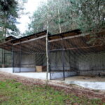 Ptasi Azyl / Marzena Mąkosa / Radio Kielce