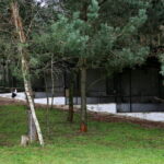 Ptasi Azyl. Ośrodek Pomocy Dzikim Zwierzętom. Bociany  / Marzena Mąkosa / Radio Kielce