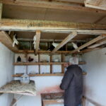 Ptasi Azyl. Ośrodek Pomocy Dzikim Zwierzętom Na zdjęciu : Janusz Wróblewski / Marzena Mąkosa / Radio Kielce