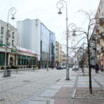 Drzewka przy ulicy Sienkiewicza / Marzena Mąkosa / Radio Kielce