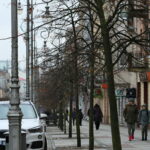 Drzewka przy ulicy Sienkiewicza / Marzena Mąkosa / Radio Kielce