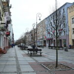 Drzewka przy ulicy Sienkiewicza / Marzena Mąkosa / Radio Kielce