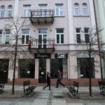 Drzewka przy ulicy Sienkiewicza / Marzena Mąkosa / Radio Kielce