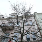 Drzewka przy ulicy Sienkiewicza / Marzena Mąkosa / Radio Kielce