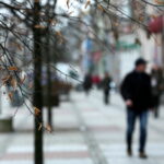 Drzewka przy ulicy Sienkiewicza / Marzena Mąkosa / Radio Kielce