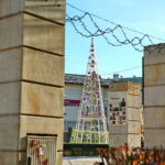 Choinka na Placu Artystów / Marzena Mąkosa / Radio Kielce