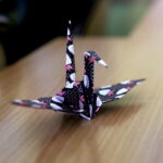 Studenci z Japonii w VII Liceum Ogólnokształcącym im. Józefa Piłsudskiego / Marzena Mąkosa / Radio Kielce