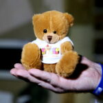 Akcja Miś w Muzeum Zabawek i Zabawy / Marzena Mąkosa / Radio Kielce