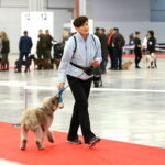 Targi ZOO SALON. VII Targi Artykułów dla Zwierząt Domowych / Marzena Mąkosa / Radio Kielce