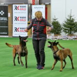 Targi ZOO SALON. VII Targi Artykułów dla Zwierząt Domowych / Marzena Mąkosa / Radio Kielce