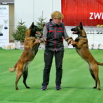 Targi ZOO SALON. VII Targi Artykułów dla Zwierząt Domowych / Marzena Mąkosa / Radio Kielce