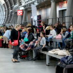 Targi ZOO SALON. VII Targi Artykułów dla Zwierząt Domowych / Marzena Mąkosa / Radio Kielce