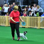 Targi ZOO SALON. VII Targi Artykułów dla Zwierząt Domowych / Marzena Mąkosa / Radio Kielce