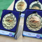 Targi ZOO SALON. VII Targi Artykułów dla Zwierząt Domowych / Marzena Mąkosa / Radio Kielce