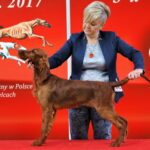 Targi ZOO SALON. VII Targi Artykułów dla Zwierząt Domowych / Marzena Mąkosa / Radio Kielce