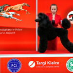 Targi ZOO SALON. VII Targi Artykułów dla Zwierząt Domowych / Marzena Mąkosa / Radio Kielce