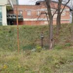 Mogiła Powstańców Styczniowych w Opatowie / Emilia Sitarska / Radio Kielce