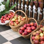 Obrazów. Wprowadzenie Obrazu Świętej Rodziny po renowacji / Grażyna Szlęzak-Wójcik / Radio Kielce