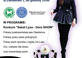 Międzynarodowa Wystawa Psów Rasowych. Plakat