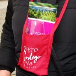 Sandomierz. Święto Młodego Wina / Emilia Sitarska / Radio Kielce