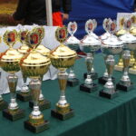 Opatów. V Opatowskie Biegi Niepodległości na Rynku / Emilia Sitarska / Radio Kielce