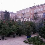 Kielce. Stoisko z choinkami na placu Wolności / Katarzyna Prędotka / Radio Kielce