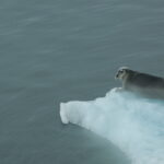 Spitsbergen / dr hab. Małgorzata Anna Jóźwiak i prof. dr hab. Marek Jóźwiak / Radio Kielce